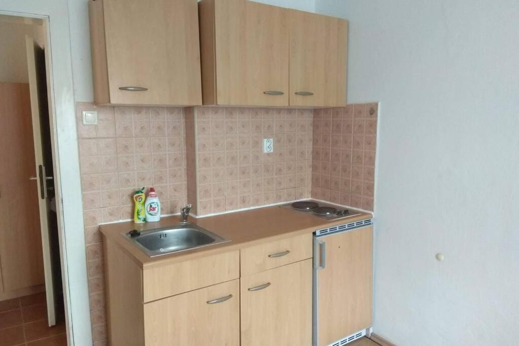 Apartman V Centru オロモウツ エクステリア 写真